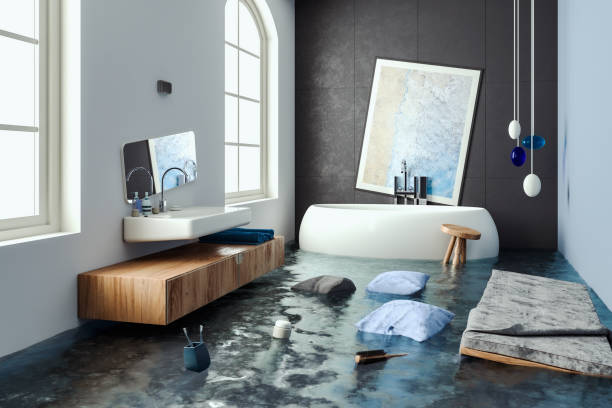 Best Mold removal after water damage  in Redlands, CO