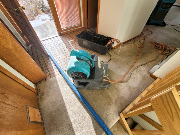Professional Water damage restoration in CO