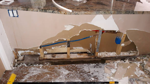 Best Water damage cleanup near me  in Redlands, CO