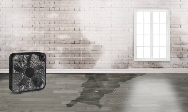 Best Flooded house restoration  in Redlands, CO