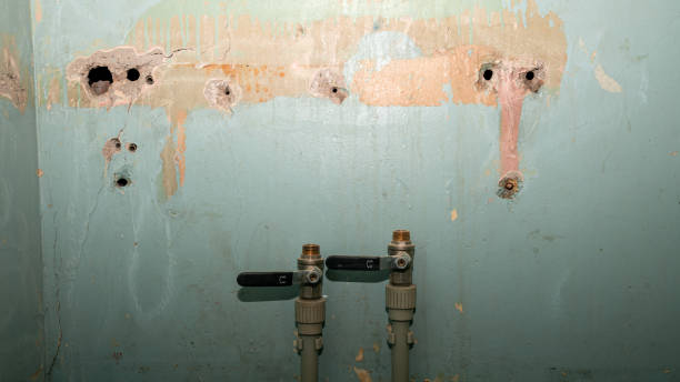 Best Sewage cleanup and water damage restoration  in Redlands, CO