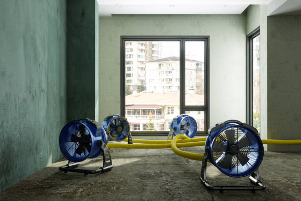 Best Flood restoration services  in Redlands, CO